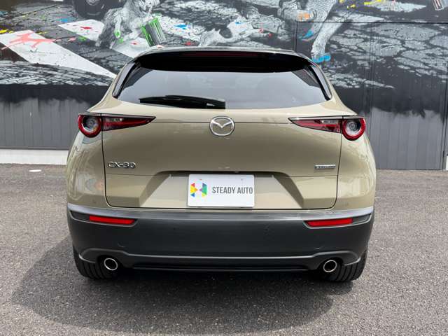 Mazda CX-30 10