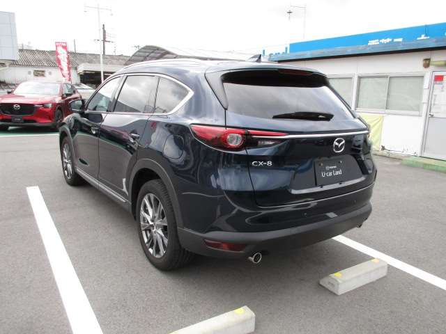 Mazda CX-8 8