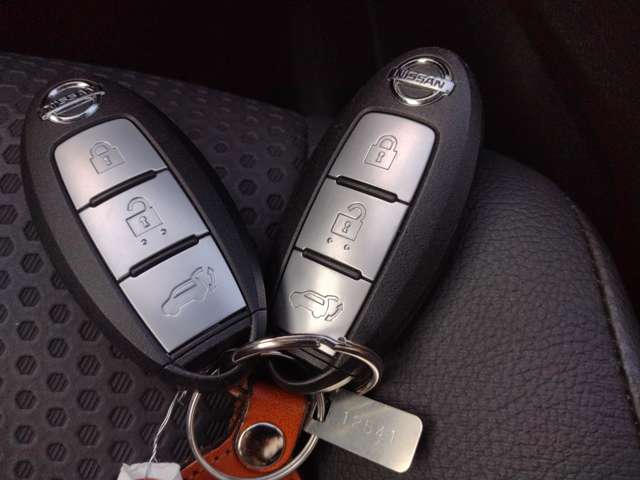Nissan X-Trail 12