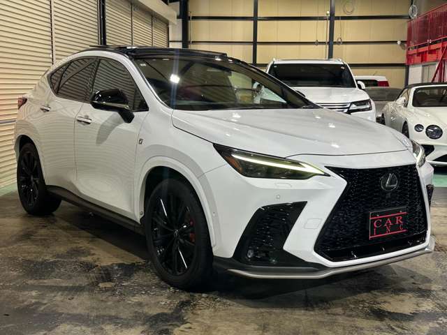 Lexus NX 4