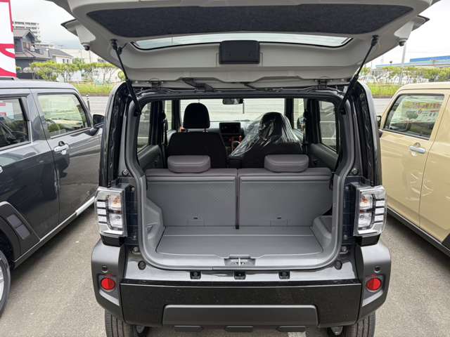 Daihatsu Taft 8