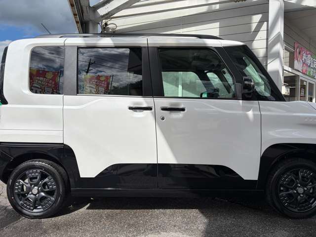 Mitsubishi Delica Mini 3