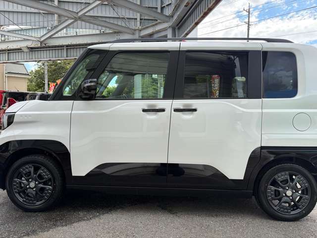 Mitsubishi Delica Mini 7