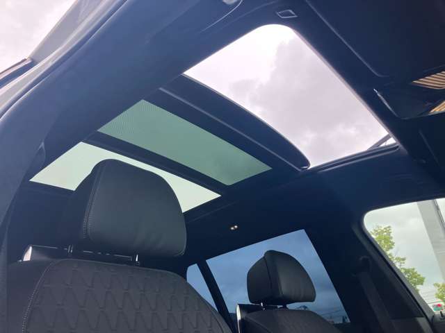 BMW X7 10