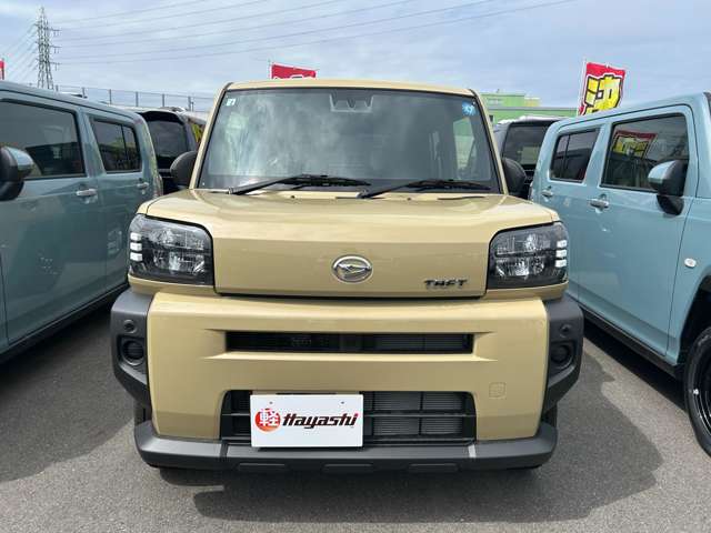 Daihatsu Taft 6