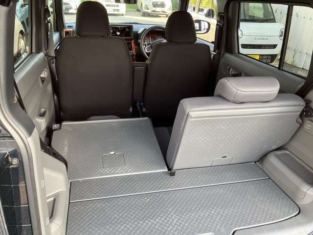 Daihatsu Taft 11