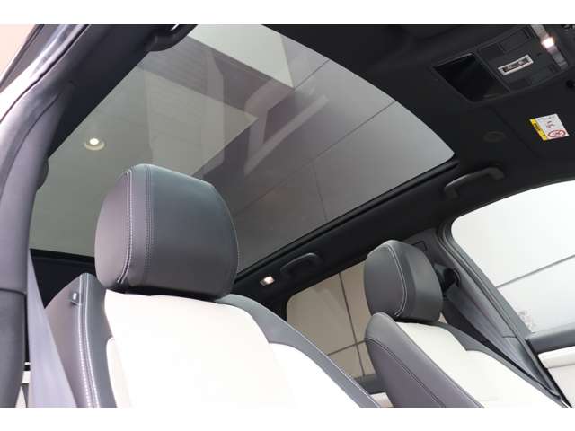 Land Rover Discovery Sport 10