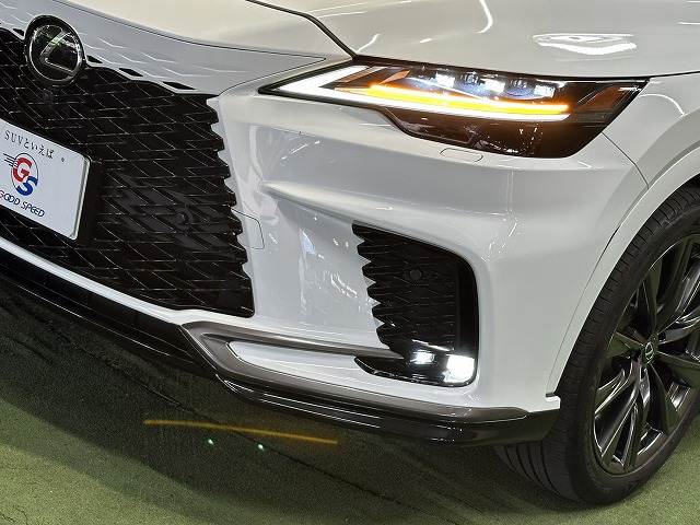 Lexus RX 11