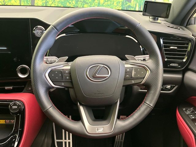 Lexus NX 11