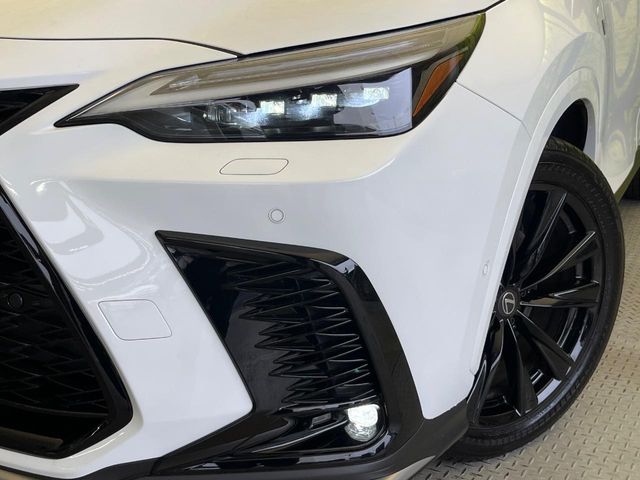 Lexus NX 12