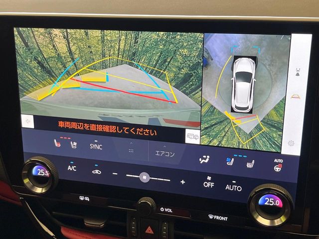 Lexus NX 4