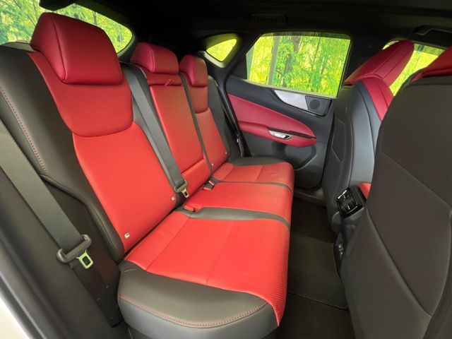 Lexus NX 9