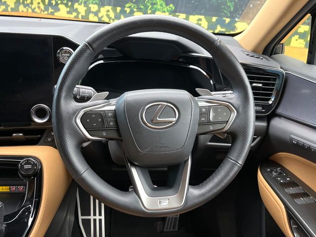 Lexus NX 11