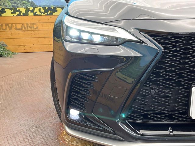Lexus NX 12