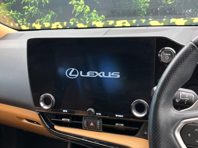 Lexus NX 3