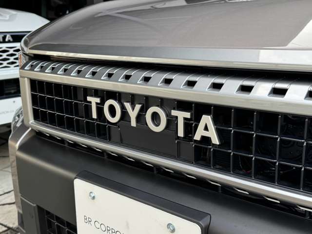 Toyota Land Cruiser 250 12