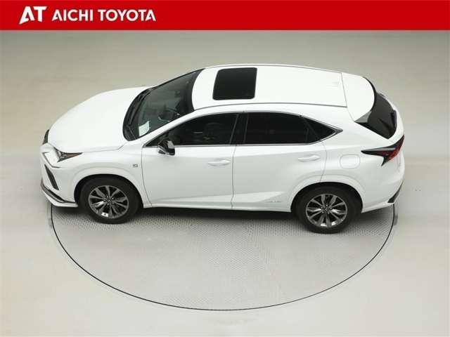 Lexus NX 11