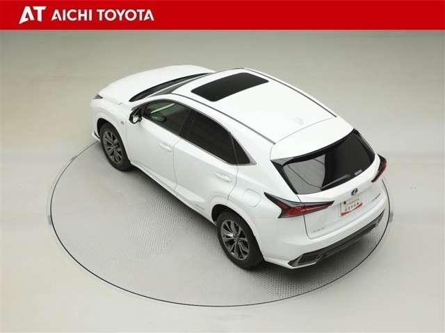 Lexus NX 12