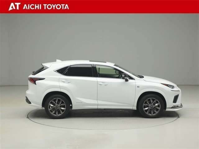 Lexus NX 7