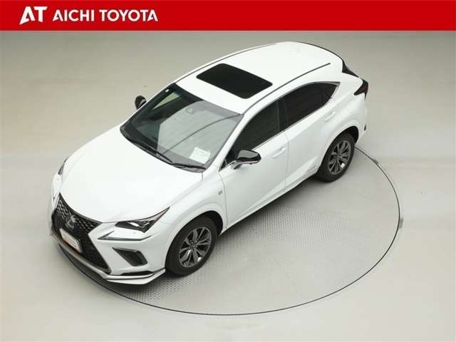 Lexus NX 10