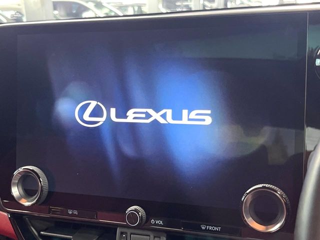 Lexus NX 4