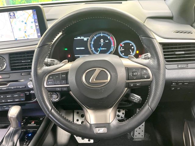 Lexus RX 11