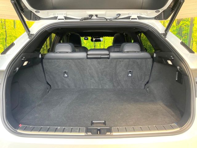 Lexus RX 10