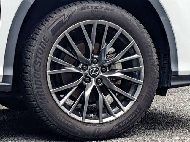 Lexus RX 11