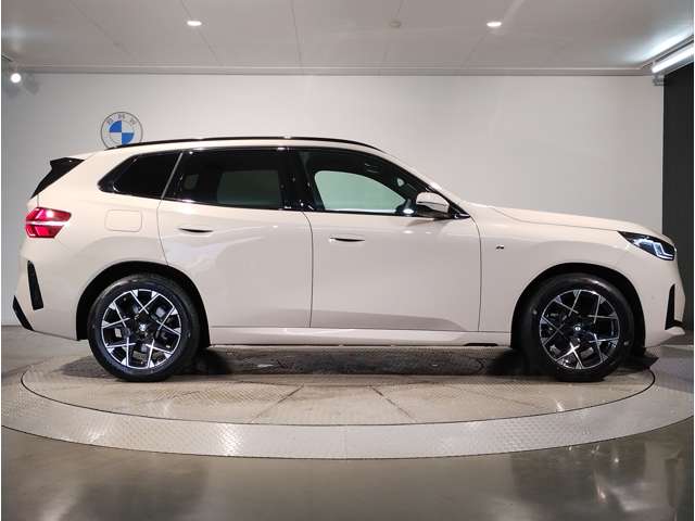 BMW X3 8