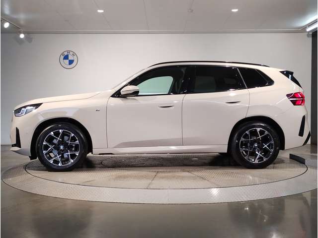 BMW X3 9