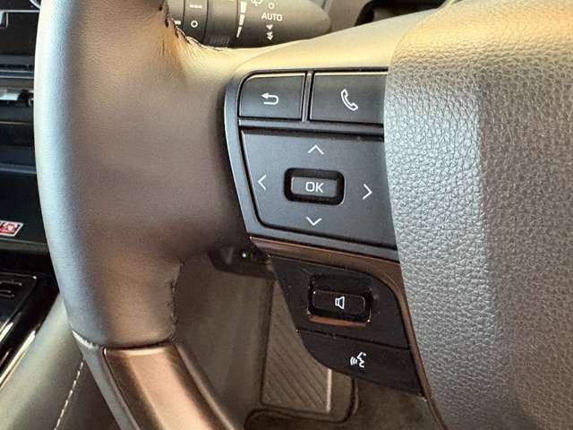 Toyota Alphard 9