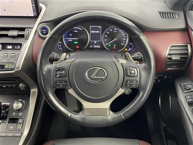 Lexus NX 12
