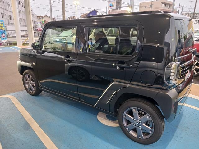 Daihatsu Taft 11