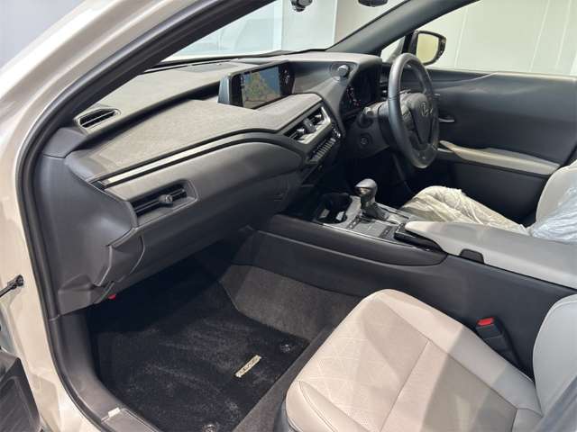 Lexus UX 8