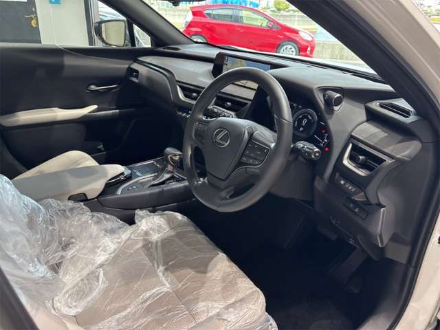 Lexus UX 9