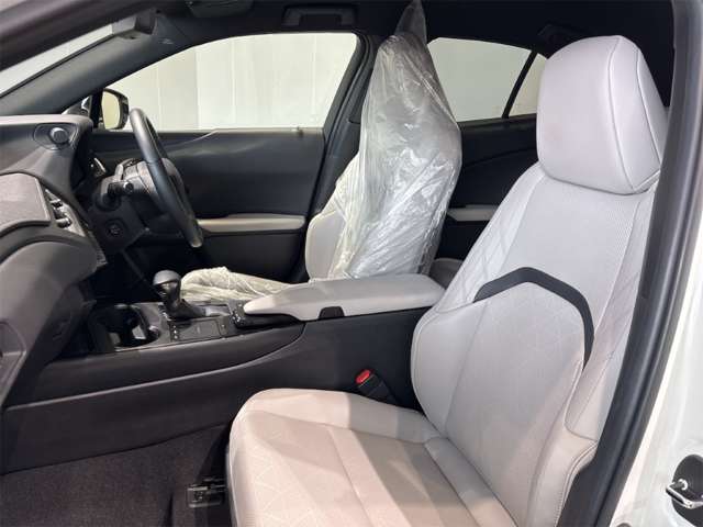 Lexus UX 10