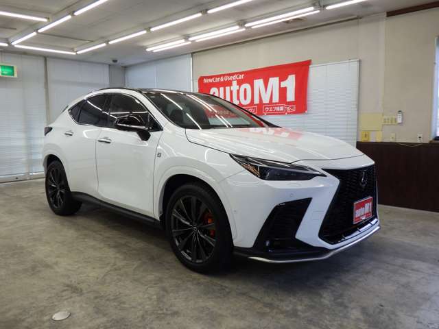 Lexus NX 6