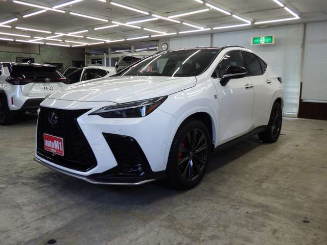 Lexus NX 7