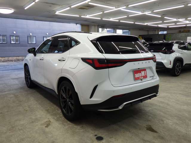 Lexus NX 9