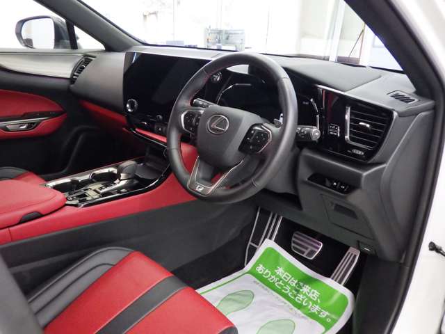 Lexus NX 10