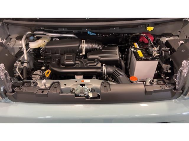 Daihatsu Taft 11