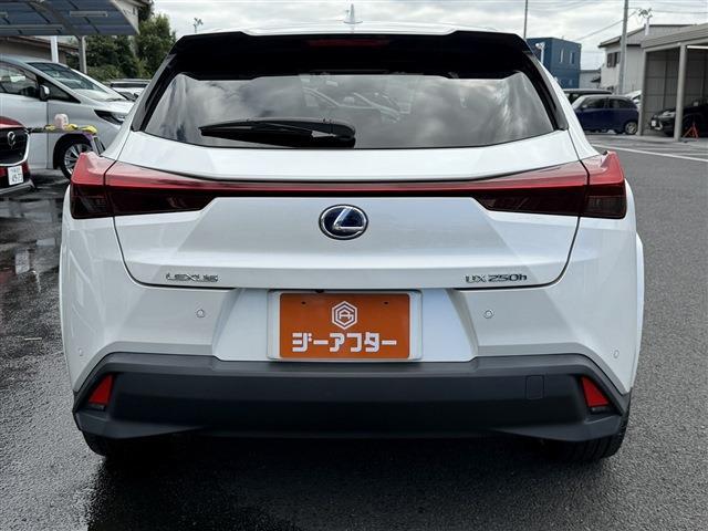 Lexus UX 10
