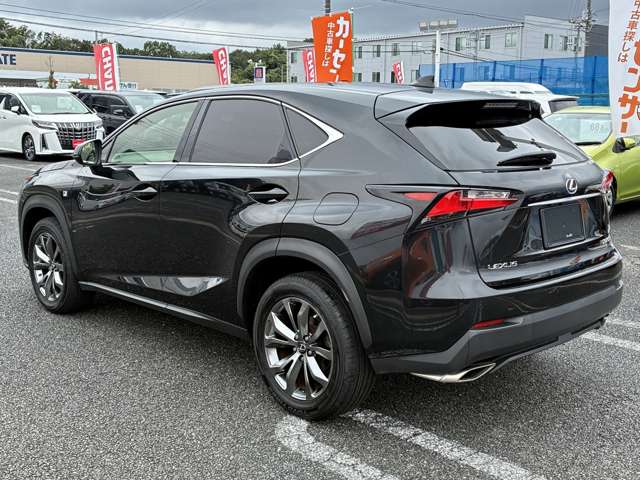 Lexus NX 12