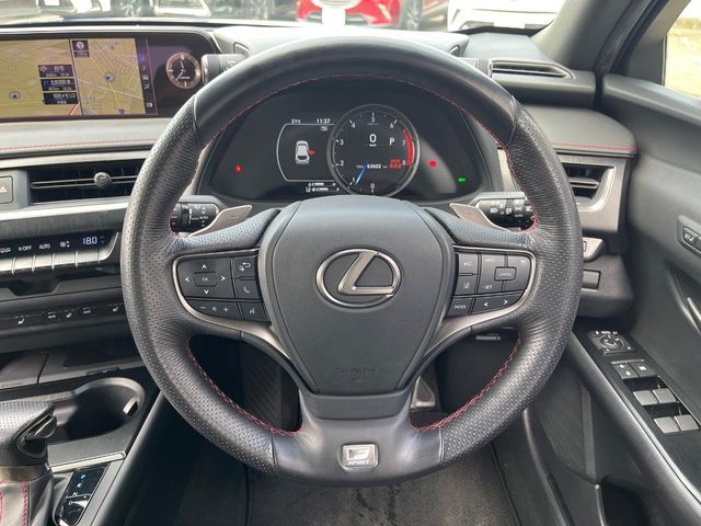 Lexus UX 11