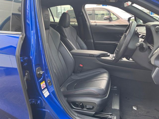 Lexus UX 8