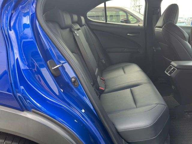 Lexus UX 9
