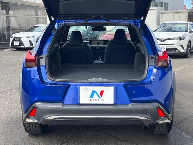 Lexus UX 10