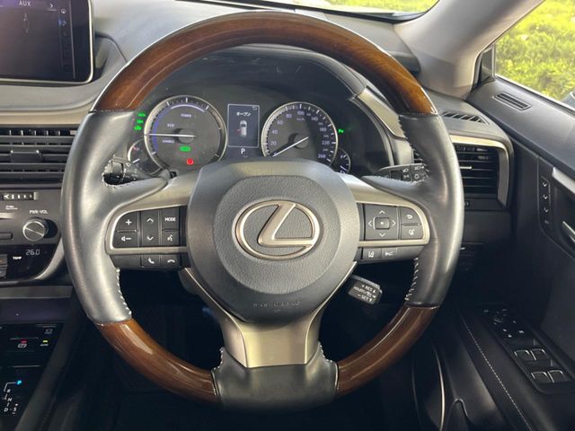 Lexus RX 11