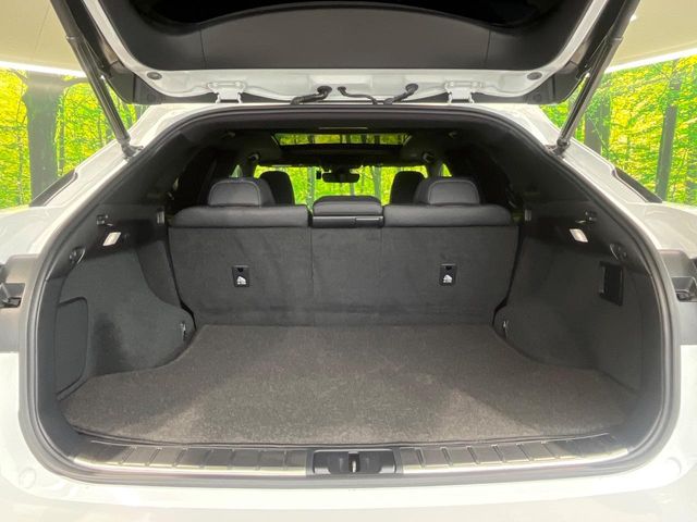 Lexus RX 10