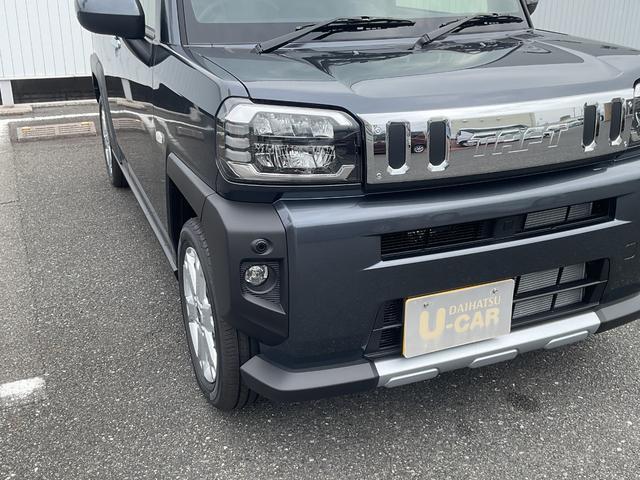 Daihatsu Taft 8